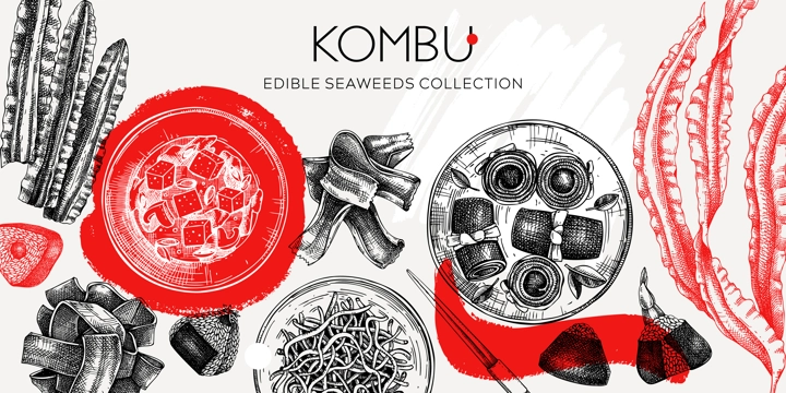 Hand-drawn Kombu banner design. Edible seaweed drawings in collage style. Sea vegetable illustrations. Healthy food vector background. Japanese cuisine. Trendy restaurant menu design.